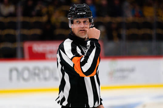 Domare Mikael Nord