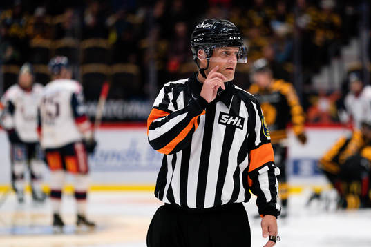 Domare Mikael Nord