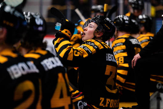 Skellefteås Zeb Forsfjäll