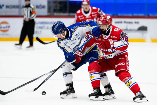 Timrås Robin Hanzl