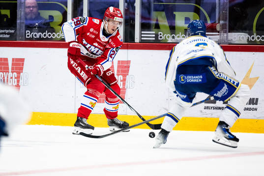 Timrås Filip Hållander