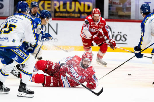 Timrås Robin Hanzl