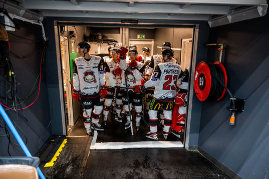 Malmö Redhawks  spelare