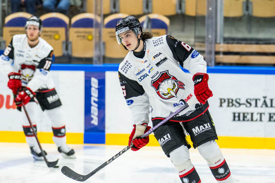 IF Malmö Redhawks Dominik Badinka