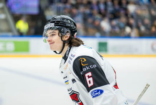 IF Malmö Redhawks Dominik Badinka