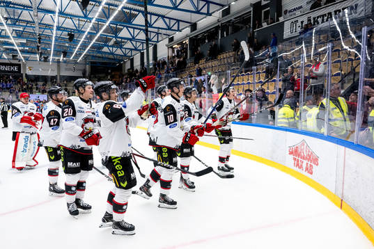Malmö Redhawks spelare jublar