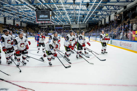 IF Malmö Redhawks spelare jublar