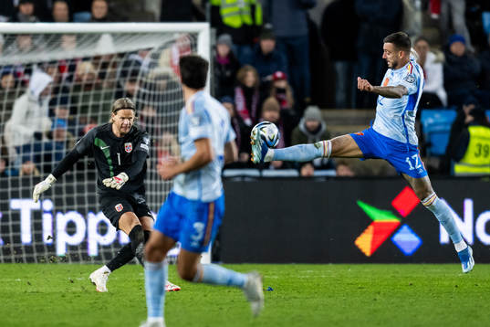 goalkeeper Ørjan Håskjold Nyland of Norway