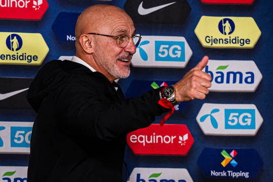 Luis de la Fuente, head coach of Spain