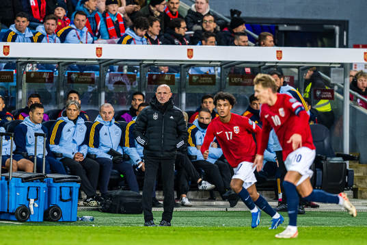 Luis de la Fuente, head coach of Spain