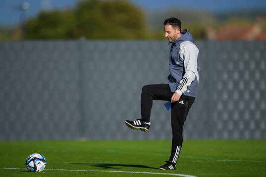 Head coach Domenico Tedesco of the Belgian national