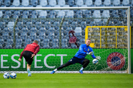 Goalkeeper Robin Olsen of the Swedish national football team