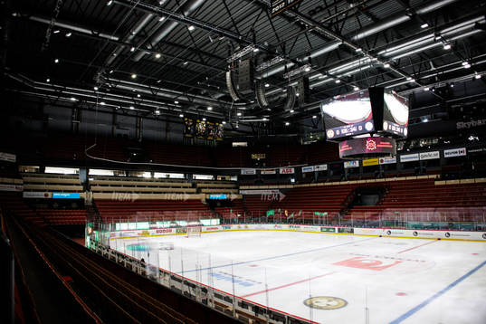 Monitor ERP Arena