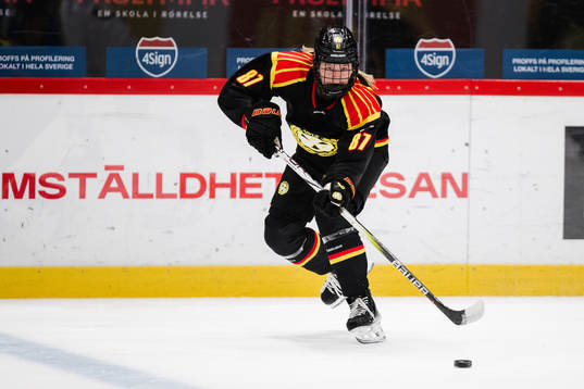 Brynäs Anna Brenkle