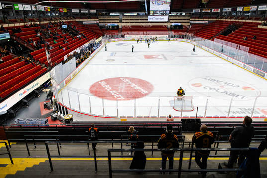 Monitor ERP Arena