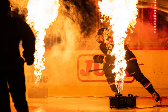 Brynäs Noemi Neubauerova