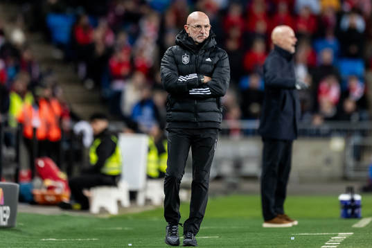 Head coach Luis de la Fuente of Spain