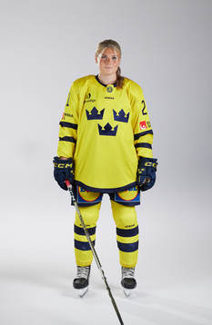 På denna handoutbild från Ishockeyförbundet ses Sveriges