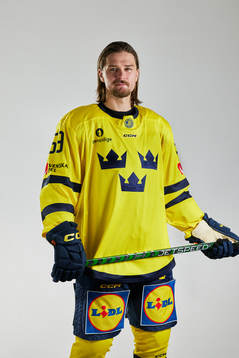 På denna handoutbild från Ishockeyförbundet ses Sveriges