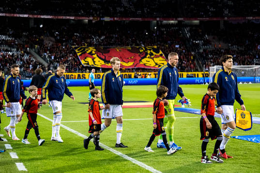 Players of Sweden