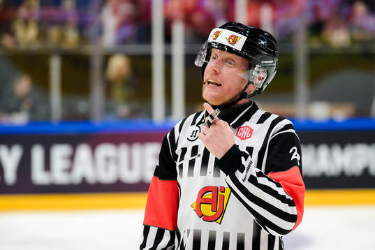 Referee Mikael Holm