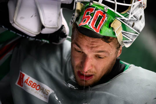 Bläddra bland fler bilder av Ishockey, SHL, Rögle, Träning 