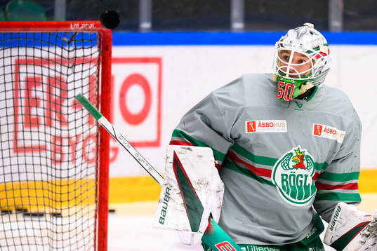 Målvakt Petr Kvaca