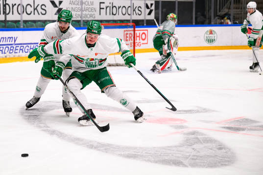 Brady Ferguson och Oskar Pettersson