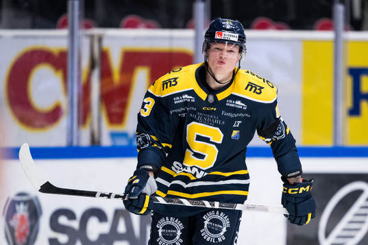 Södertäljes Julius Bergman