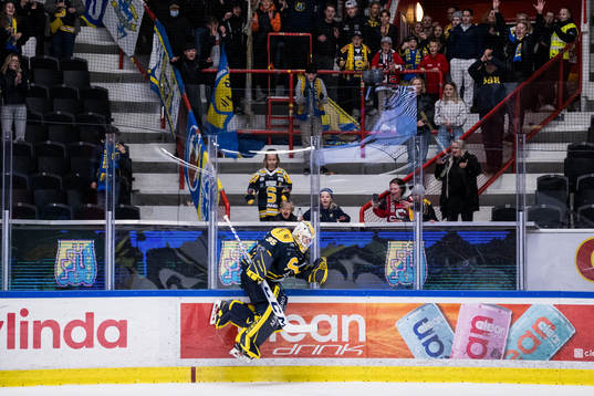 Södertäljes målvakt Tomas Sholl jublar