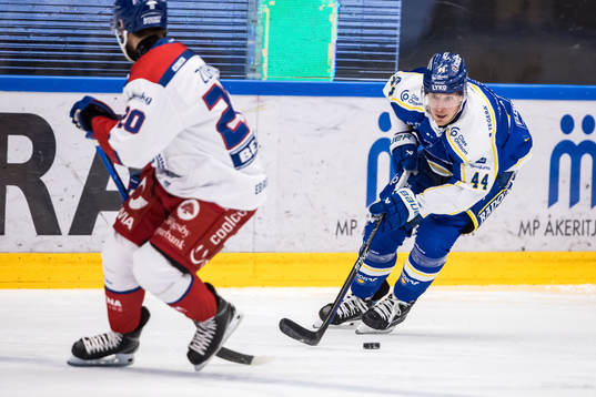 Leksands målvakt Mantas Armalis
