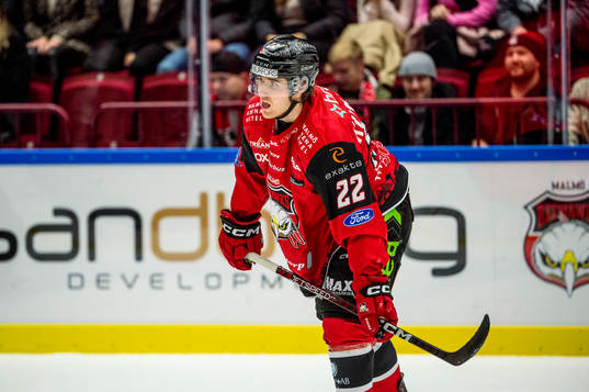 Malmö Redhawks Janne Kuokkanen deppar