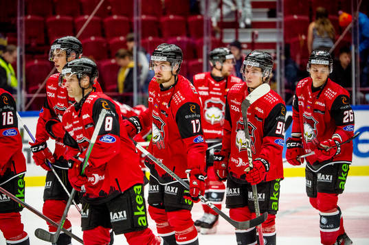 Malmö Redhawks spelare deppar