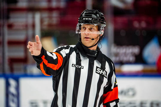 Domare Mikael Nord