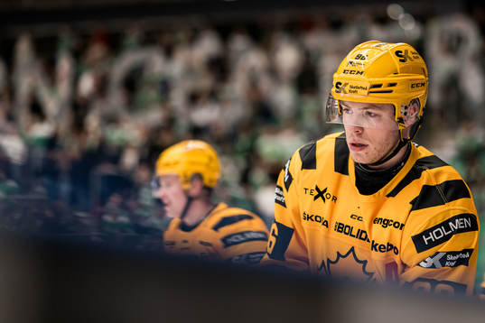 Skellefteås Rickard Hugg