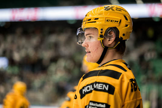 Skellefteås Theo Keilin