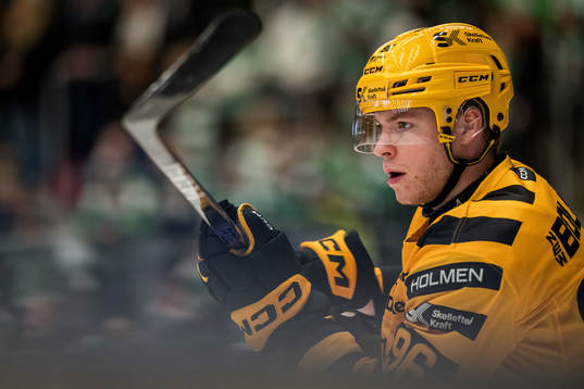 Skellefteås Rickard Hugg