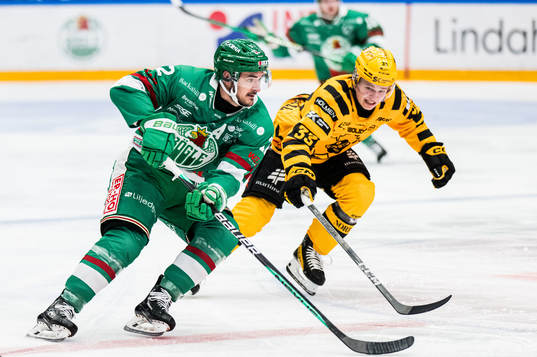 Rögles Brady Ferguson och Skellefteås Zeb Forsfjäll