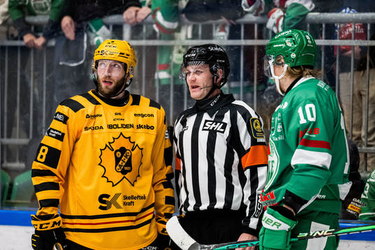 Skellefteås Petter Granberg och Domare Daniel Eriksson och