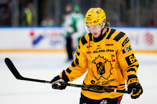 Skellefteås Jonathan Pudas deppar