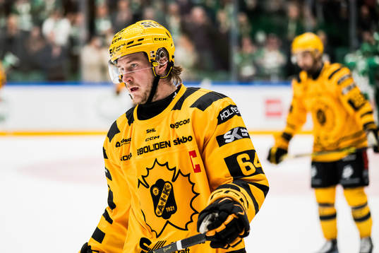 Skellefteås Jonathan Pudas deppar