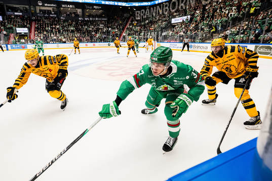 Rögles Albin Sundsvik och Skellefteås Rickard Hugg och