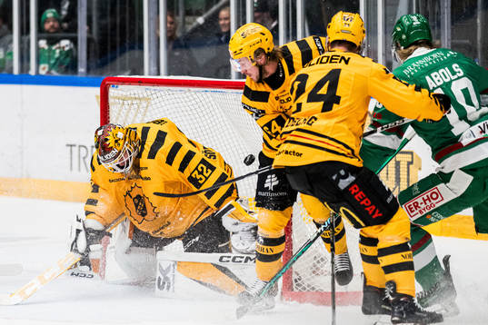 Rögles Rodrigo Abols och Skellefteås målvakt Linus