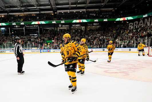 Skellefteås Jonathan Pudas deppar