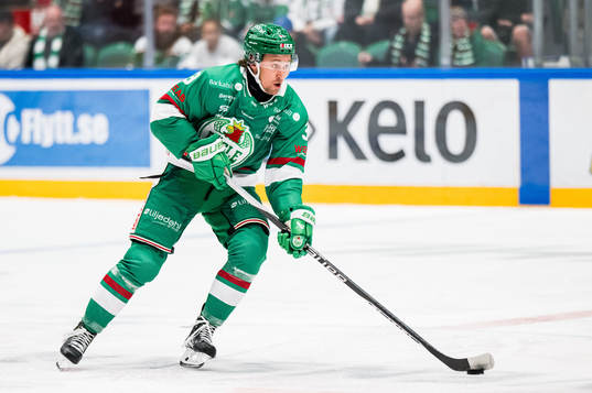 Rögles Michael Kapla