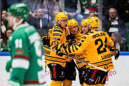 Skellefteås Rickard Hugg jublar