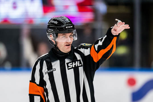 Domare Daniel Eriksson