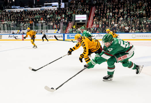 Skellefteås Anton Heikkinen och Rögles Felix Nilsson