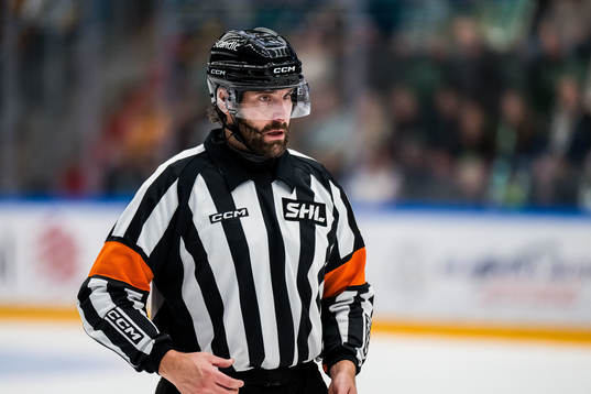 Domare Mikael Sjöqvist