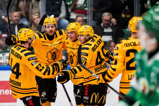 Skellefteås Rickard Hugg jublar